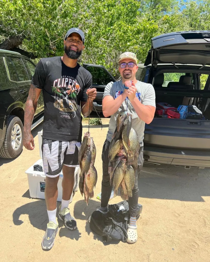 写一个更详 写一个更详